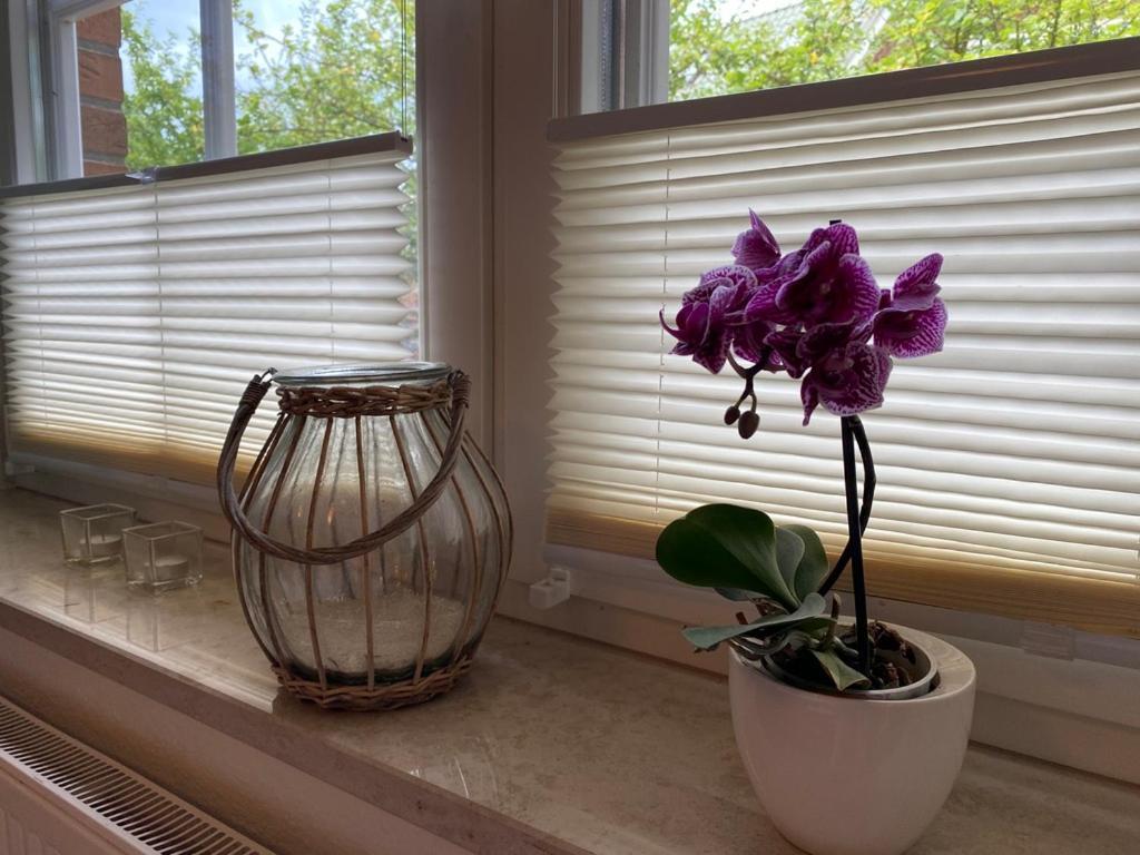 Haus Jenny Wohnung E1 Mit Terrasse Boltenhagen  Dış mekan fotoğraf