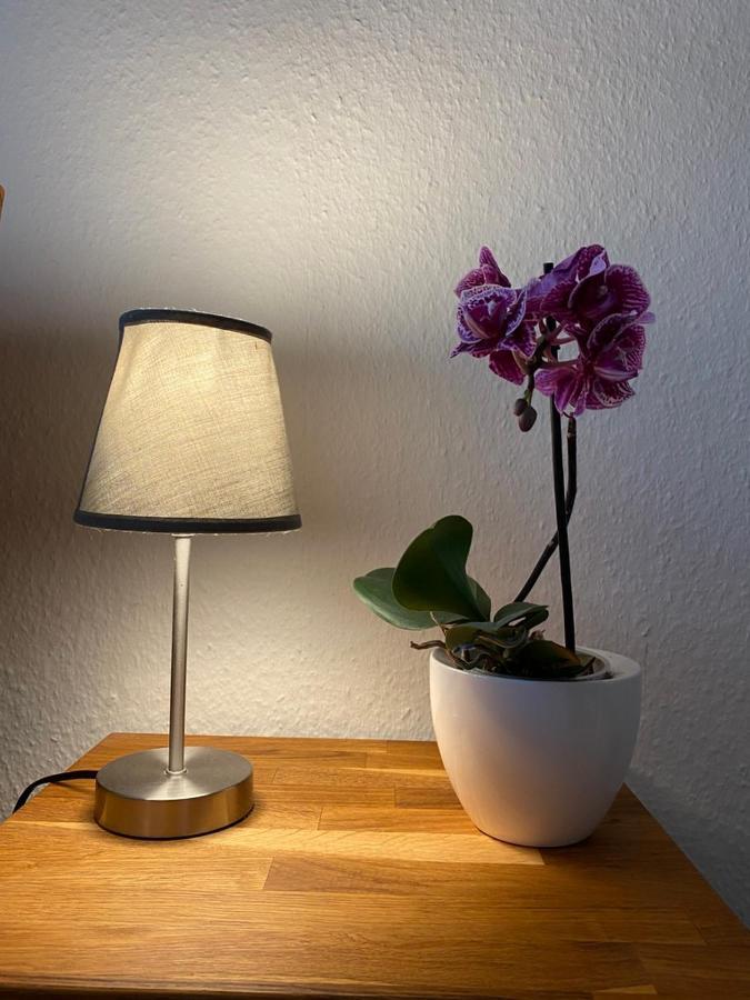 Haus Jenny Wohnung E1 Mit Terrasse Boltenhagen  Dış mekan fotoğraf